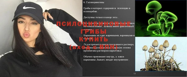 наркотики Богданович