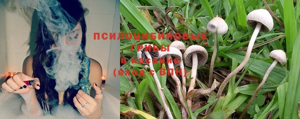 MDMA Premium VHQ Богородицк