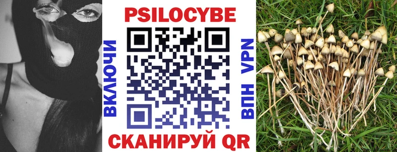 где купить наркоту  Валуйки  Псилоцибиновые грибы GOLDEN TEACHER 